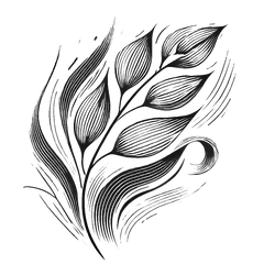 Avena Sativa Kernel Extract (Hafer)