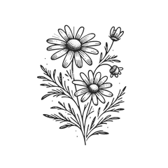 Chamomilla Recutita (Matricaria) Flower Extract (Kamille)