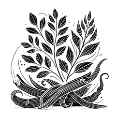 Glycyrrhiza Glabra (Licorice) Root Extract (Süßholz)