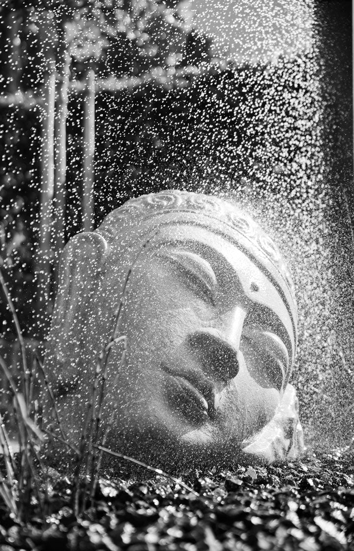 MATAMAHA Suites Carousel