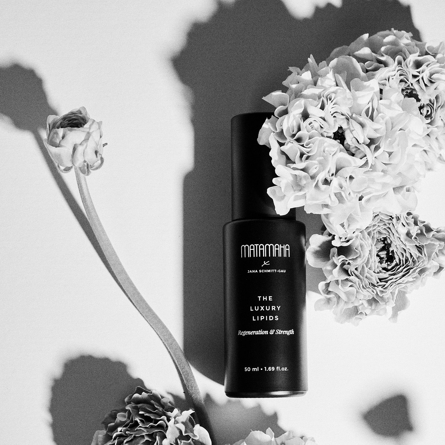 THE LUXURY LIPIDS